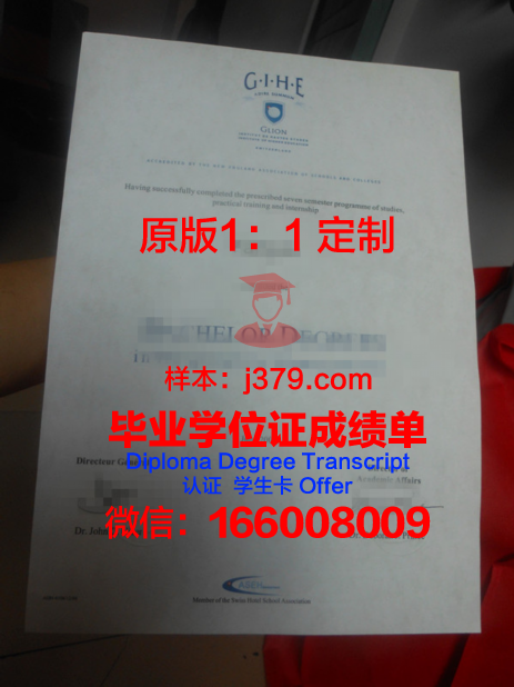 法国里昂中央理工大学毕业证图片