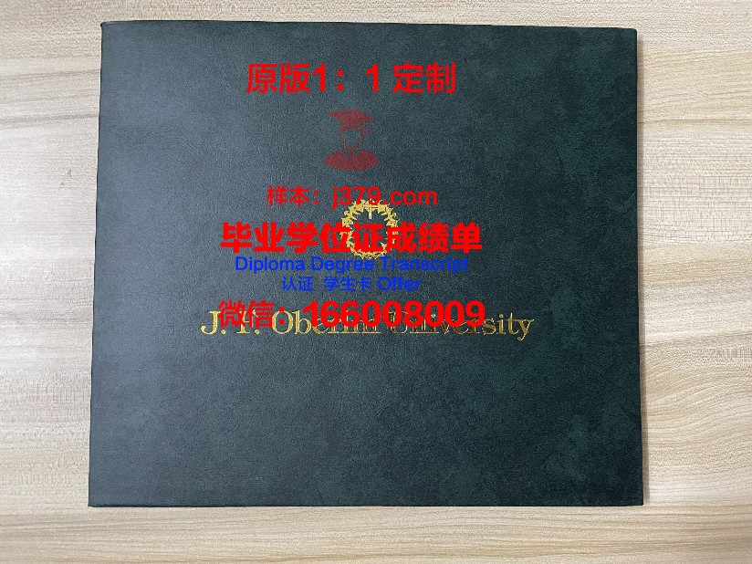 美茵茨大学文凭(美因茨大学排名)