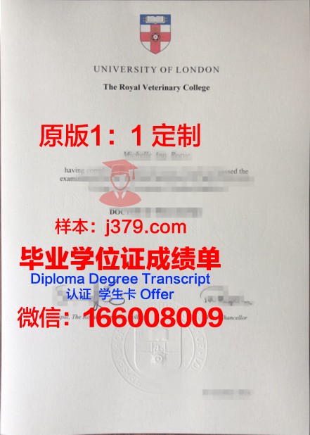 穿越时空的凭证——东南医学院毕业证书图片赏析