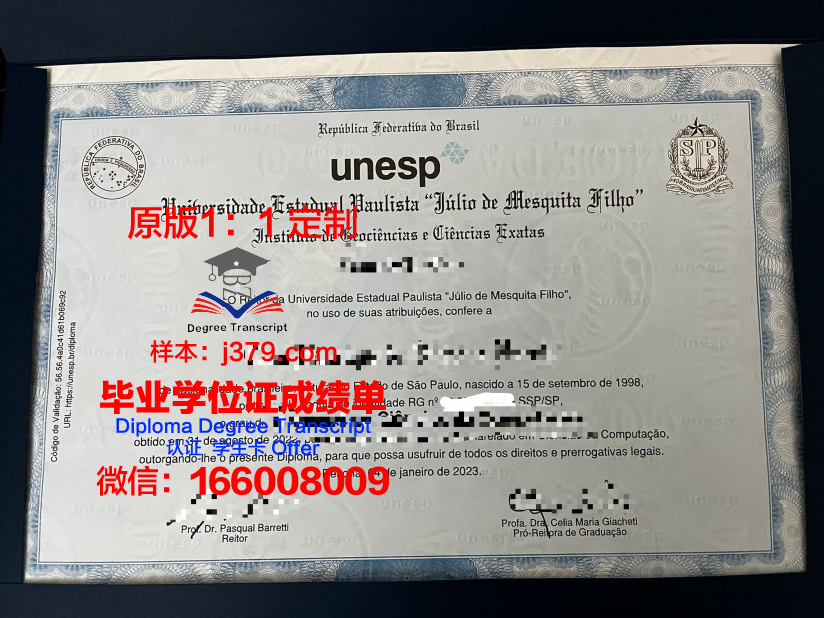 瓦加斯基金会圣保罗经济学院毕业证案例