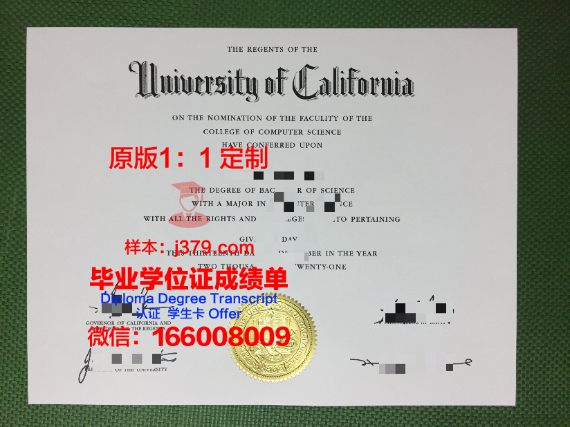 弗罗茨瓦夫理工大学毕业证原版(弗罗茨瓦夫技术大学)