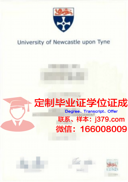 纽卡斯尔大学成绩单(纽卡斯尔大学挂科率)