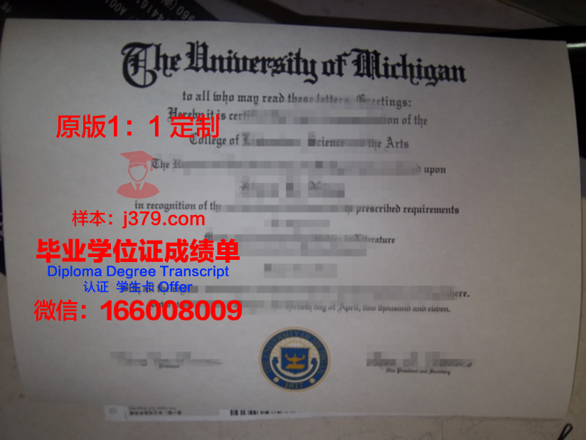 波尔多大学毕业证样式(波尔多大学毕业证样式图片)