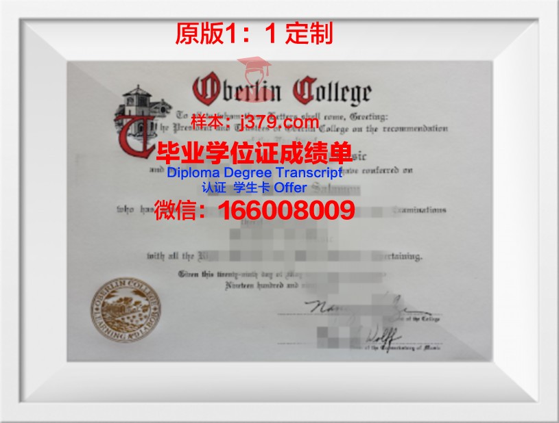 柏林欧洲经济学院毕业证是什么样子(德国柏林经济学院)
