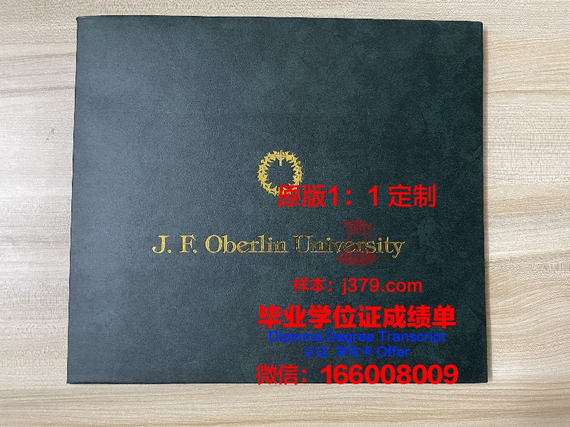 波尔图大学成绩单(波尔图大学本科申请条件)