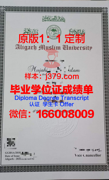胡阿里布迈丁科技大学diploma证书