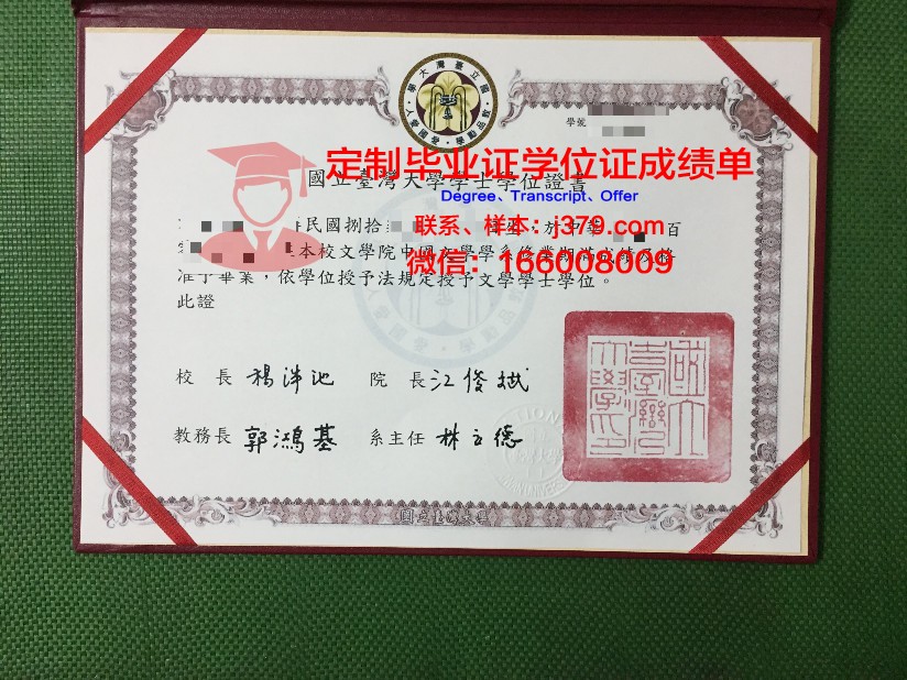 波尔多国立高等电子信息与无线电通讯学院毕业证书模板