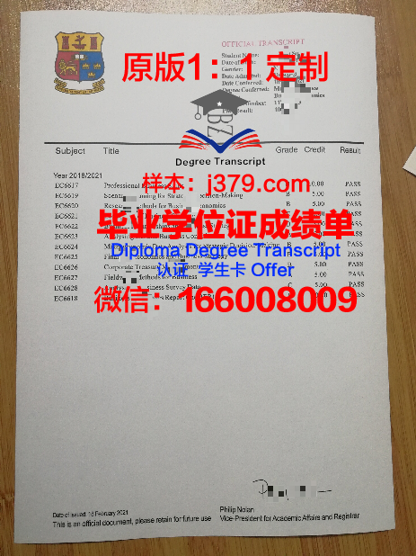 波尔多国立高等电子信息与无线电通讯学院毕业证书模板