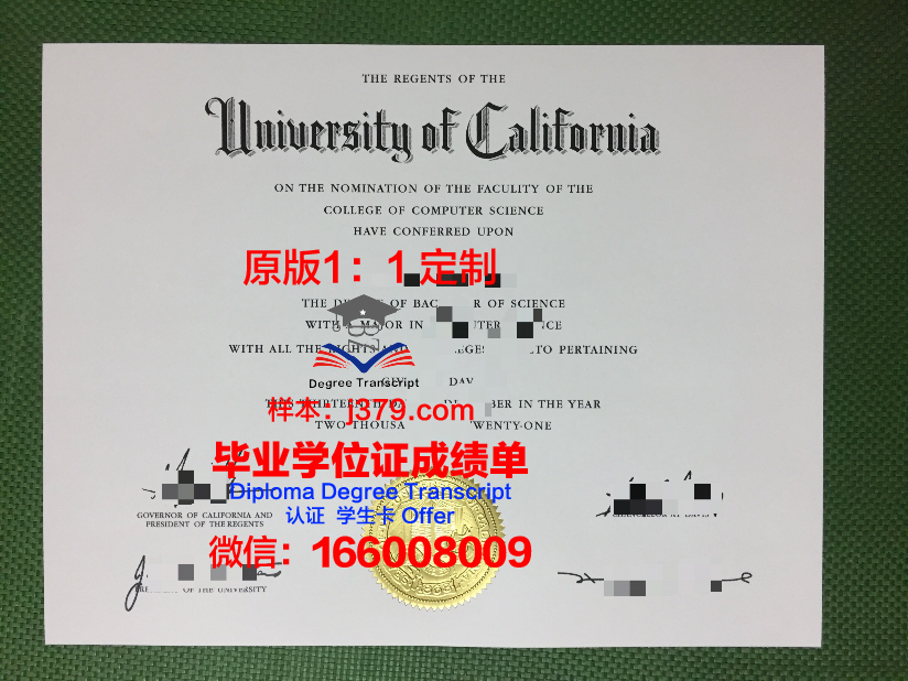 波恩大博士毕业证:跨越时空的学术荣耀