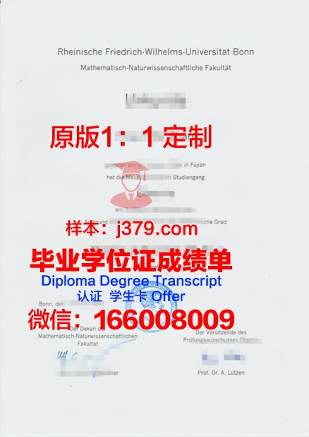 波恩大学毕业证书图片(波恩大学毕业证书图片高清)