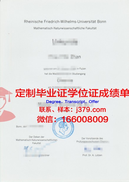 波恩大学毕业证书什么颜色(波恩大学什么专业好)