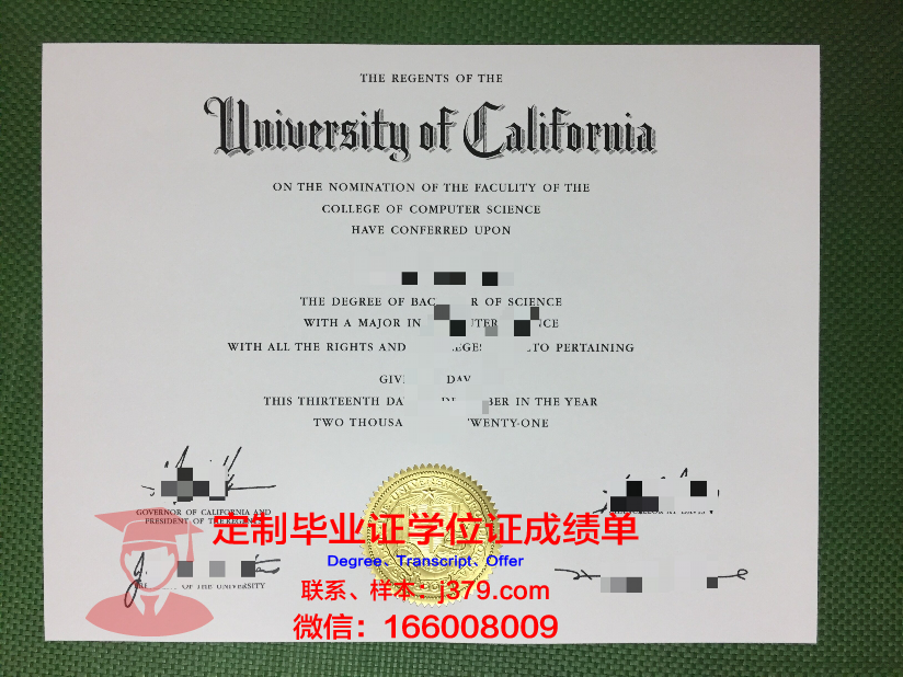 穆斯塔法国际大学毕业证长什么样(14岁穆斯塔法)