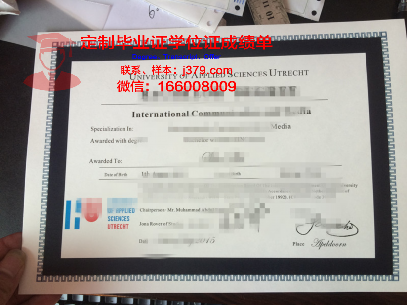 瓦萨应用科学大学毕业证是什么样呢(瓦萨应用科学大学毕业证是什么样呢图片)