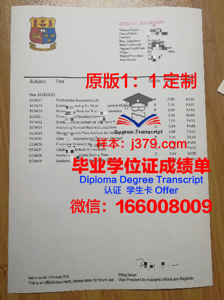 波尔多国立高等电子信息与无线电通讯学院毕业证书什么颜色