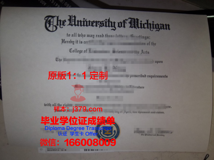 波尔多综合理工学院毕业证尺寸(波尔多综合理工学院毕业证尺寸要求)