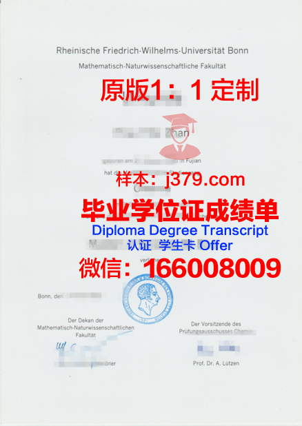 波恩大学硕士毕业证:一份跨越国界的学术荣耀