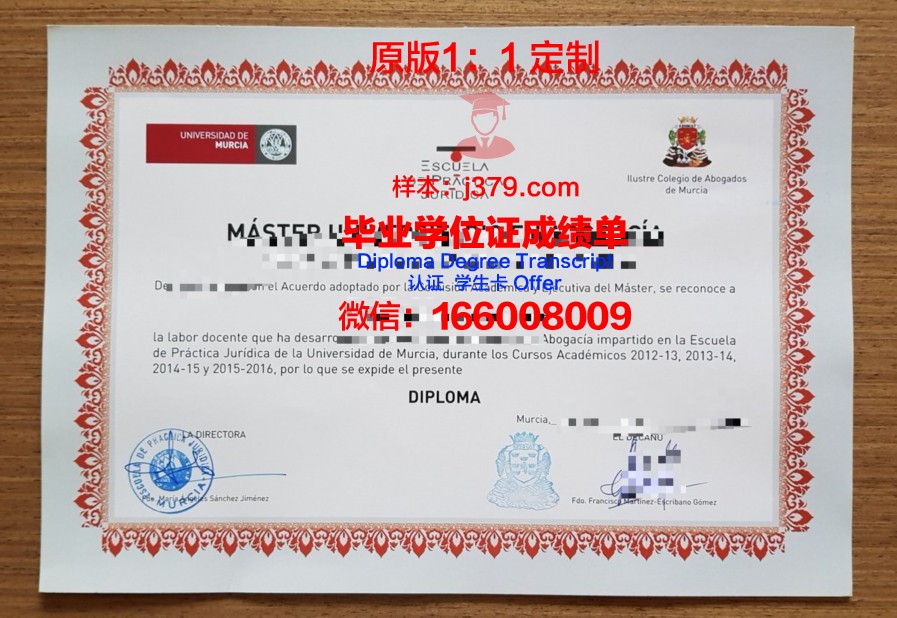 穆尔西亚大学:毕业证与成绩单的价值体现