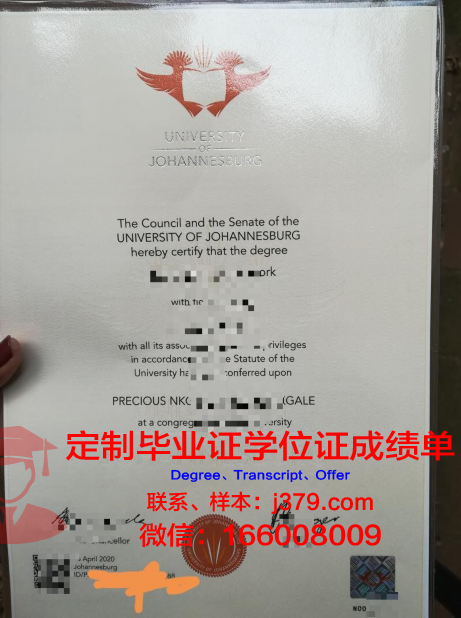 约翰内斯堡大学成绩单(约翰内斯堡大学怎么样)