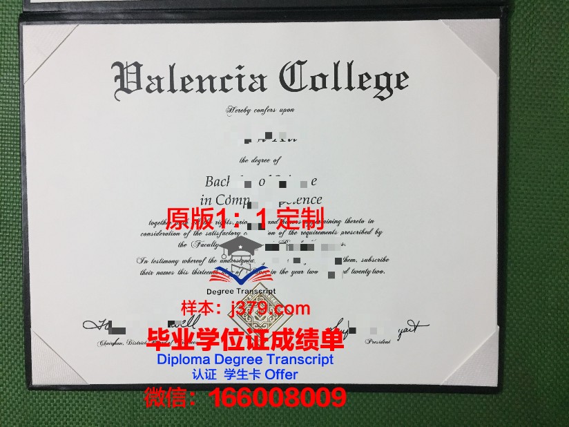 瓦伦西亚理工大学毕业证展示