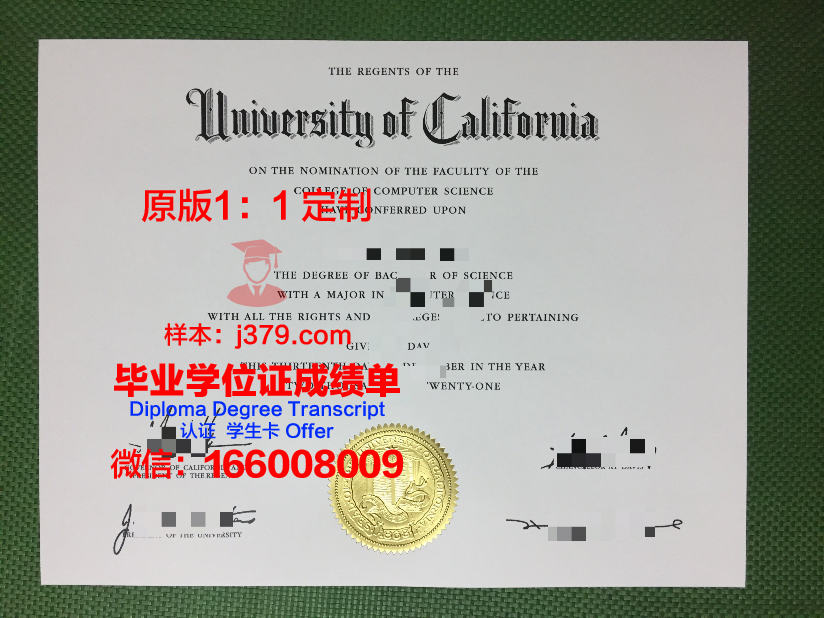 波尔多大学毕业证模板(波尔多高等商学院)