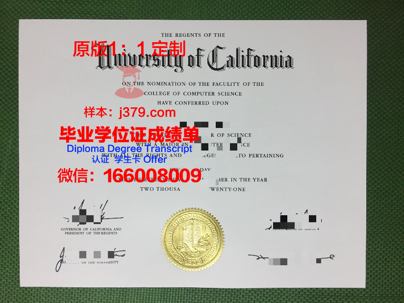 沙里院农业大学本科毕业证:承载荣誉与责任的证书