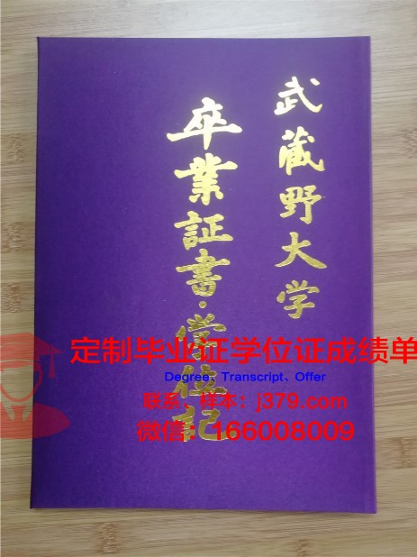 联合核子研究所毕业证壳子