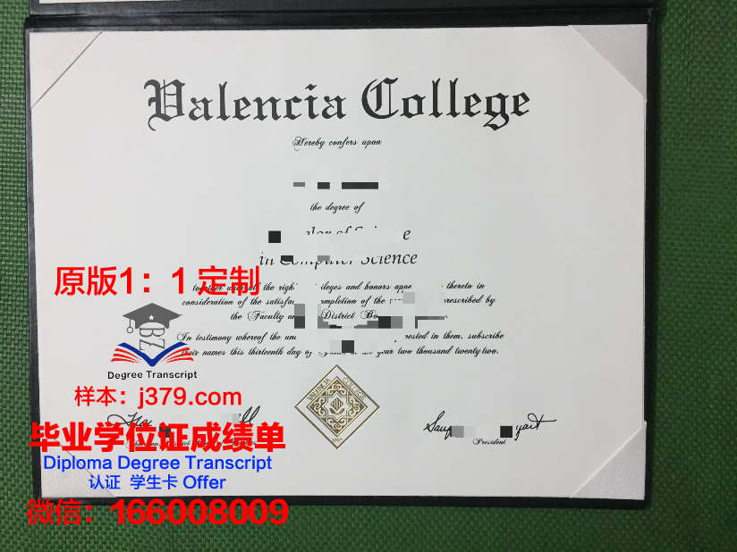 瓦伦西亚理工大学毕业证书模板(瓦伦西亚大学和瓦伦西亚理工大学哪个好)