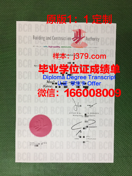 波尔多国立高等建筑与景观学院毕业证长什么样(波尔多大学建筑学院)