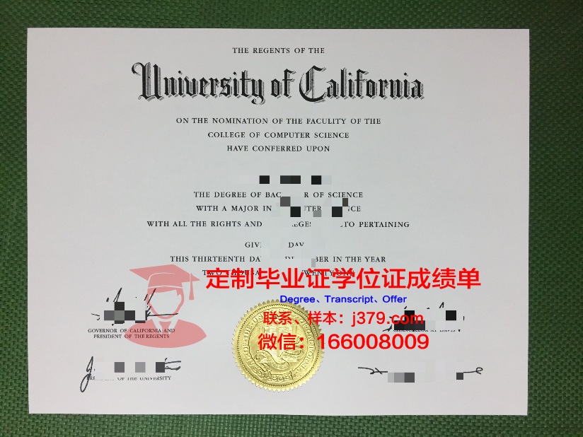 波尔多国立高等电子信息与无线电通讯学院毕业证是什么模样