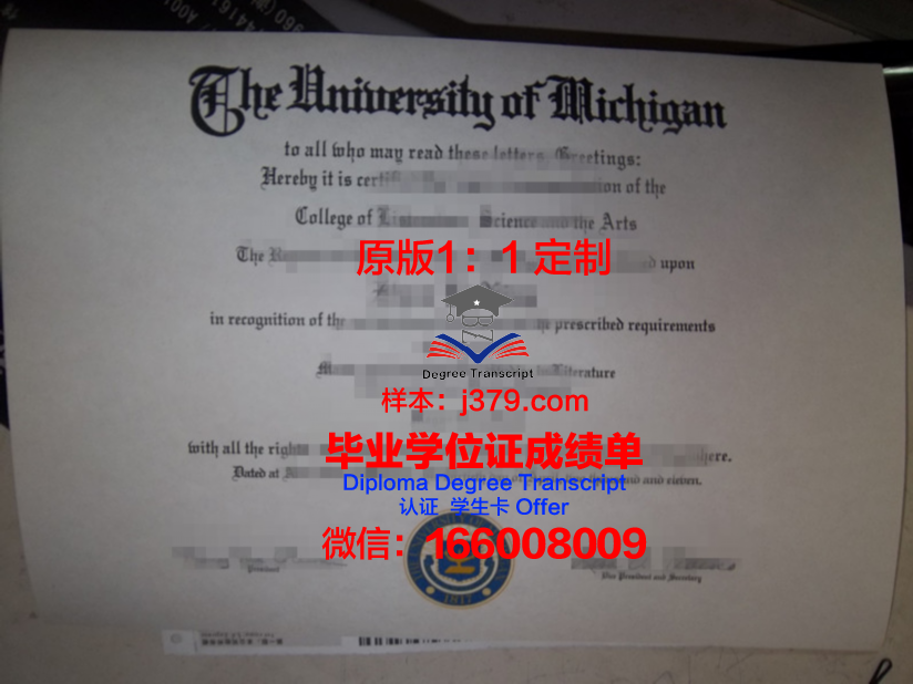 波城大学毕业证模板(波城大学毕业证模板图片)