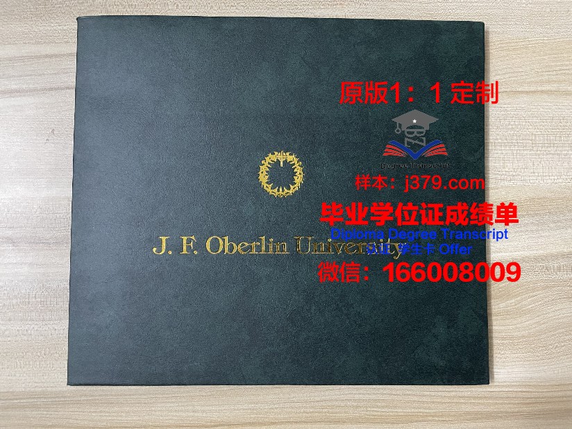 约阿尼纳大学学历证书