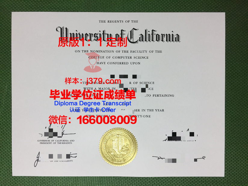 立万国际美术学院本科毕业证:跃跃欲试的艺术新秀