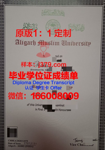 胡阿里布迈丁科技大学diploma证书