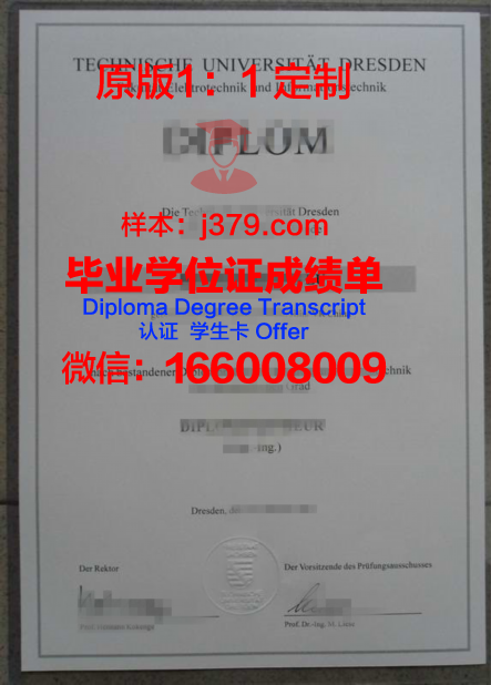 科特布斯勃兰登堡工业大学毕业证尺寸(德国科特布斯勃兰登堡工业大学)