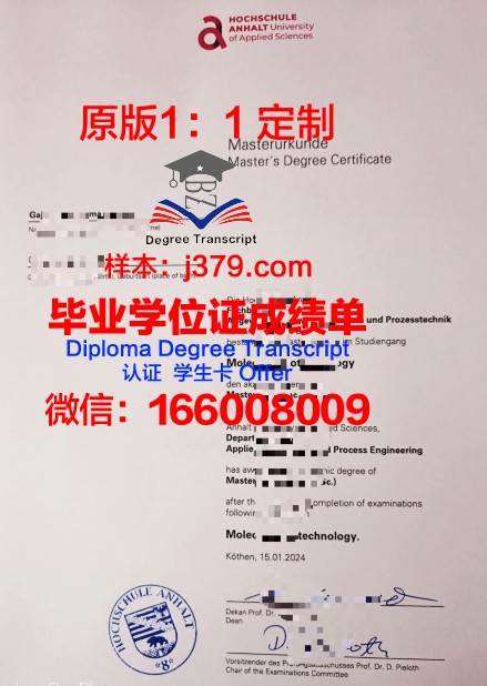 纽伦堡应用技术大学毕业证书什么颜色(德国纽伦堡应用技术大学怎么样)