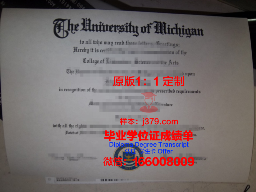 波尔多第一大学毕业证等级(波尔多第一大学毕业证等级怎么填)