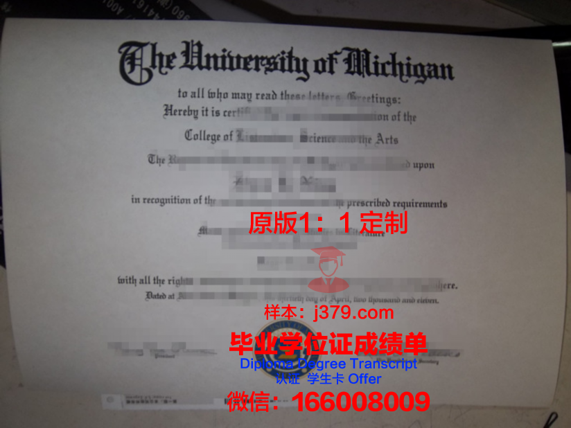 波尔图大学毕业证成绩单图片(波尔图大学毕业证成绩单图片大全)