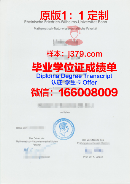 波恩大学毕业证