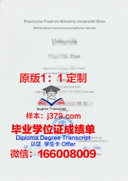 波恩大学硕士毕业证:一份跨越国界的学术荣耀