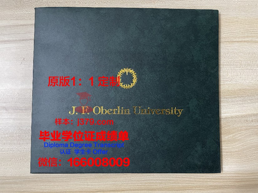 波尔多第二大学毕业学位
