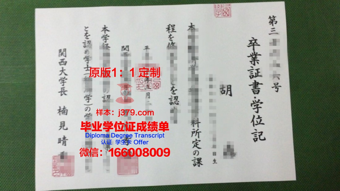 波兹南经济大学毕业证模板(波兹南经济大学排名)