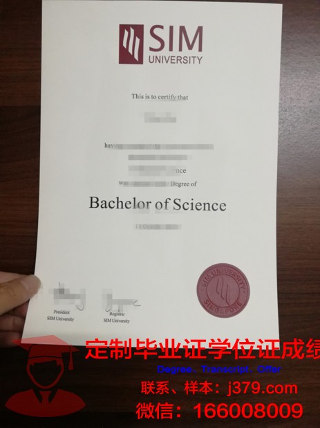 波尔多综合理工学院毕业证书模板(波尔多经济管理学院)