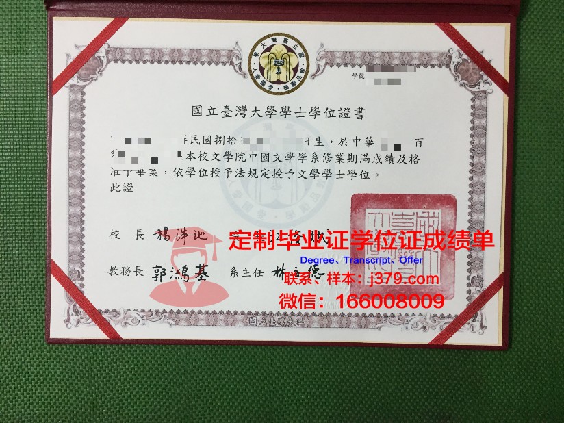 波尔多国立高等电子信息与无线电通讯学院毕业证书什么颜色