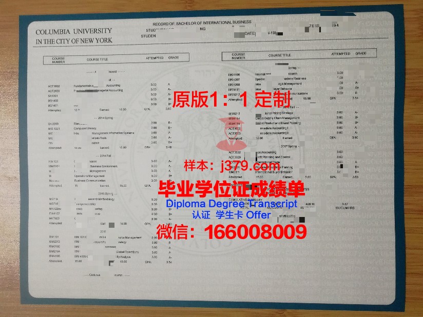 波尔多综合理工学院-波尔多国立高等化学生物与物理学院成绩单