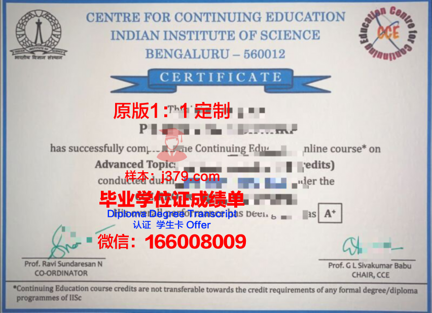 波尔多国立高等农业科学学院毕业证成绩单:一份沉甸甸的荣誉证书