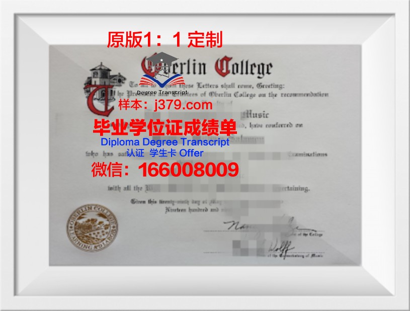 柏林白湖艺术学院毕业证高清图(柏林白湖艺术学院学费)