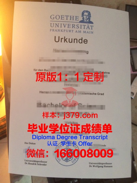 法兰克福大学毕业证