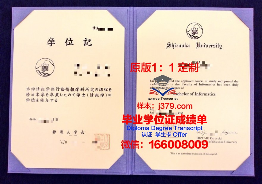 穆斯静冈大学毕业学位
