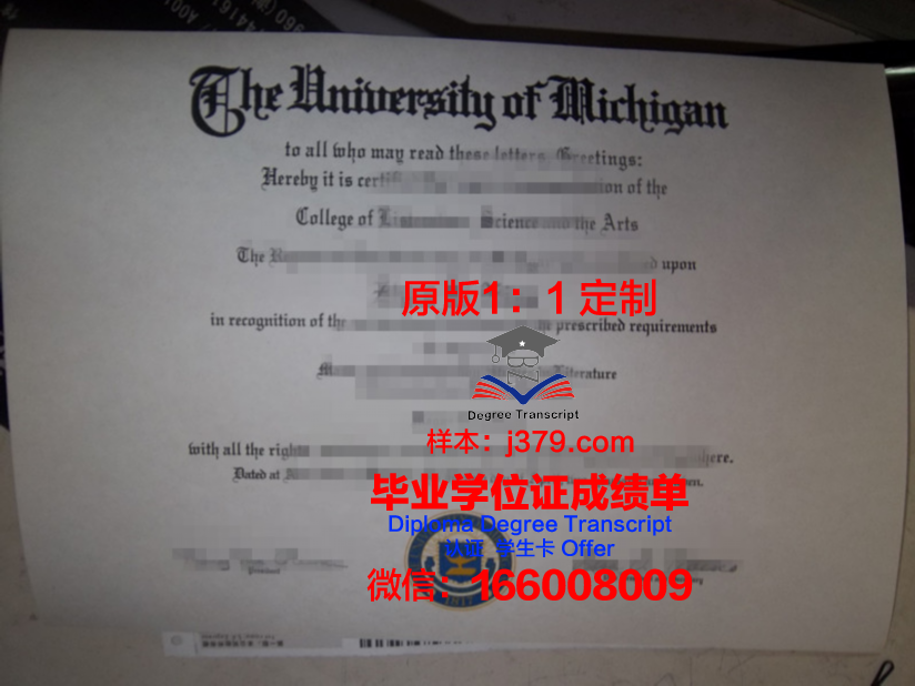 波音特帕克大学毕业证学位文凭学历Diploma