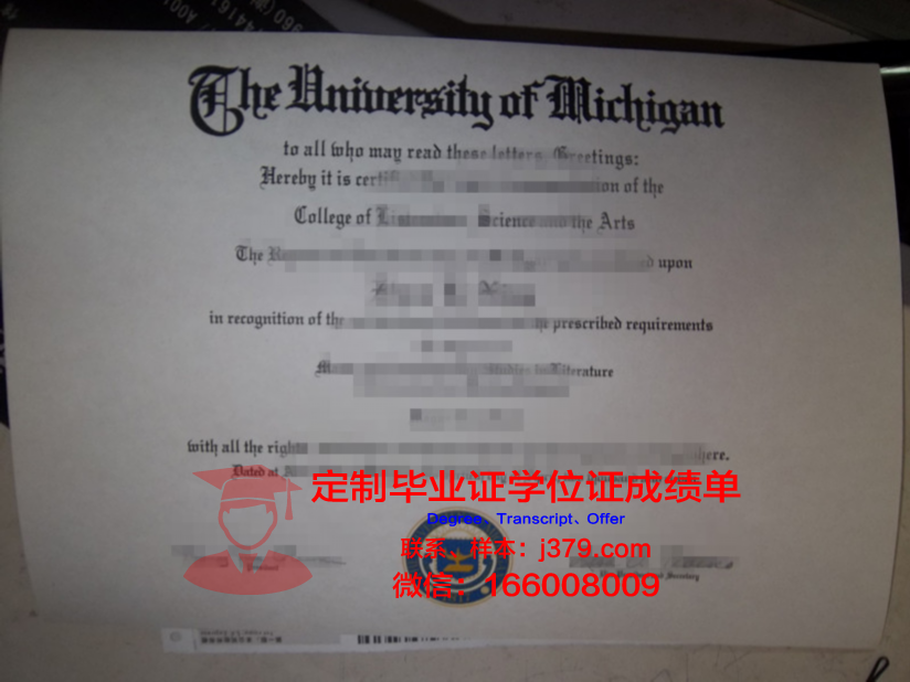 穆斯塔法国际大学毕业证长什么样(14岁穆斯塔法)